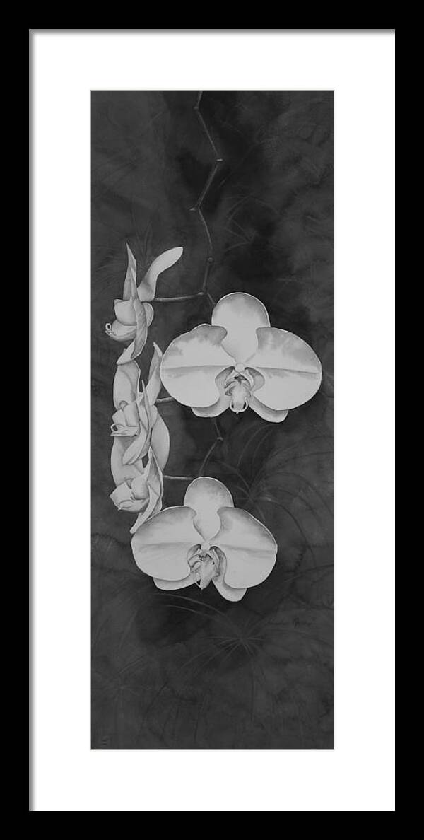 Black And White Framed Print featuring the painting Phalaenopsis Beauty in Contrast by Heather Gallup