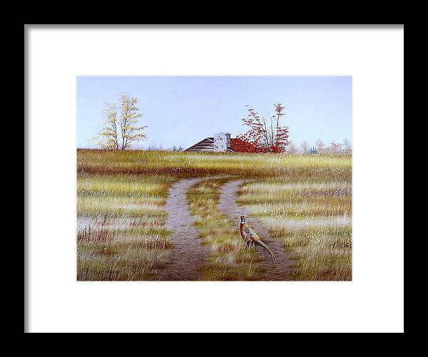 Nature Framed Print featuring the painting Pheasant Country. by Conrad Mieschke