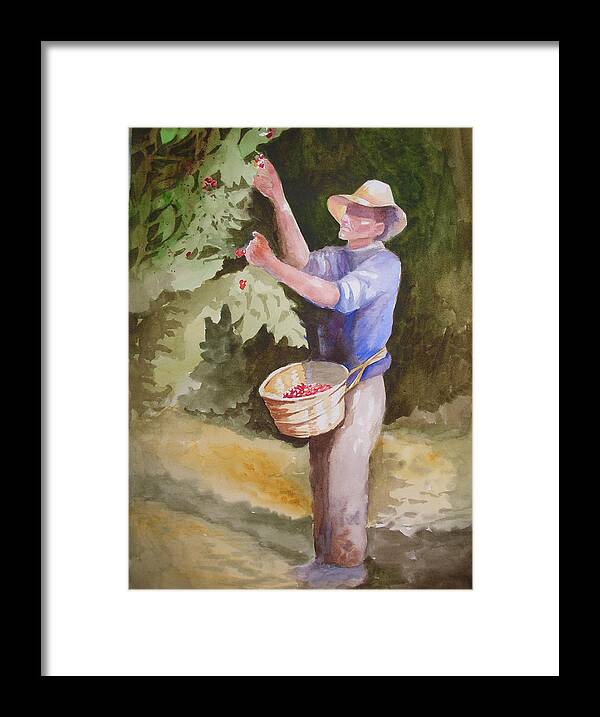 Coffee Framed Print featuring the painting Picking coffee by Barbara Parisien