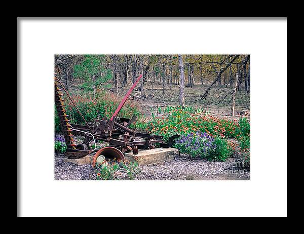 Grass Framed Print featuring the photograph Pickle Creek Ranch Botanical Garden by Cheryl McClure