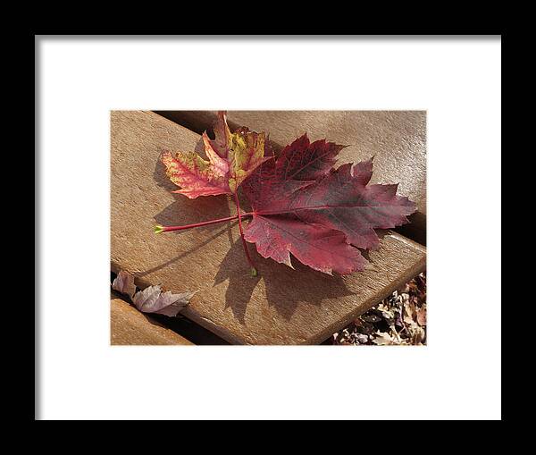 Leaves Framed Print featuring the photograph Picnic for Two by Jessica Myscofski