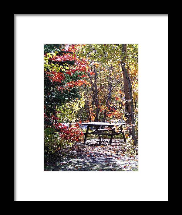 Picnic Framed Print featuring the photograph Picnic Memories by Gigi Dequanne