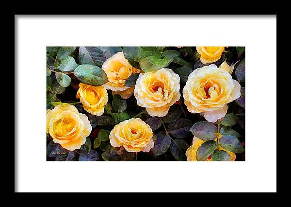 Roses Framed Print featuring the painting Pierre's Peach Roses by RC DeWinter
