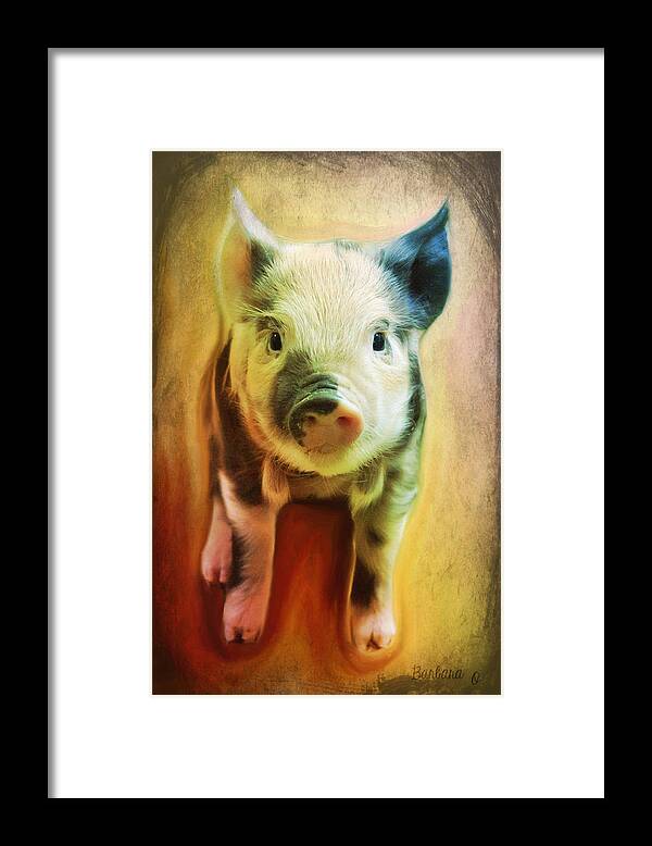  Pig Framed Print featuring the photograph Pig is beautiful by Barbara Orenya