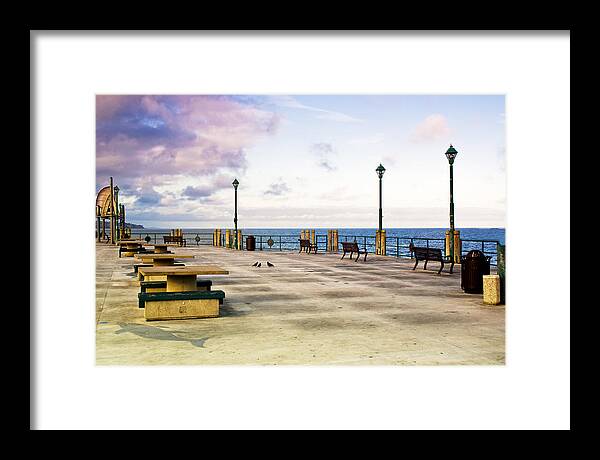 Redondo Beach Framed Print featuring the photograph Pigeon Meeting at Redondo Pier by Joseph Hollingsworth