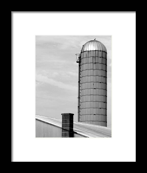Silo Framed Print featuring the photograph Pigeon Perch by Mary Beth Landis