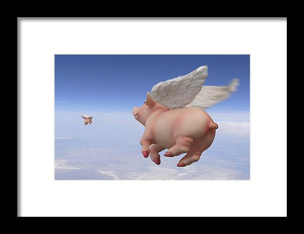 Pigs Fly Framed Print featuring the photograph Pigs Fly 2 by Mike McGlothlen