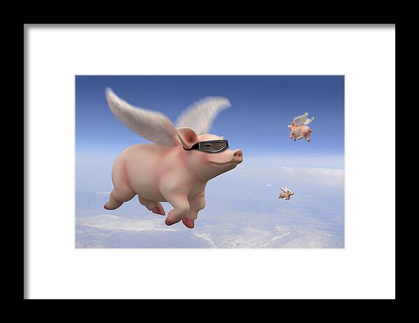 Pigs Fly Framed Print featuring the photograph Pigs Fly by Mike McGlothlen