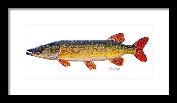 Pick Framed Print featuring the painting Pike by Carey Chen