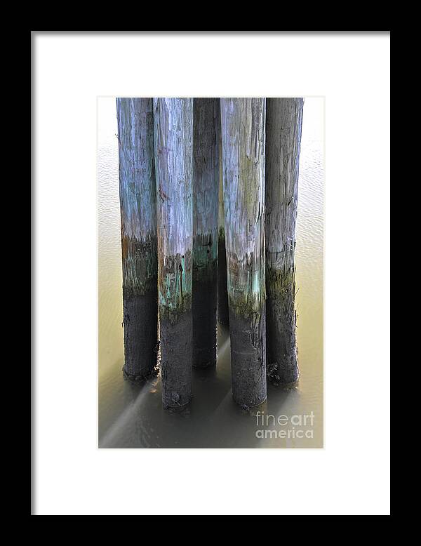 Pilings Framed Print featuring the photograph Salt Water Piling by Dale Powell