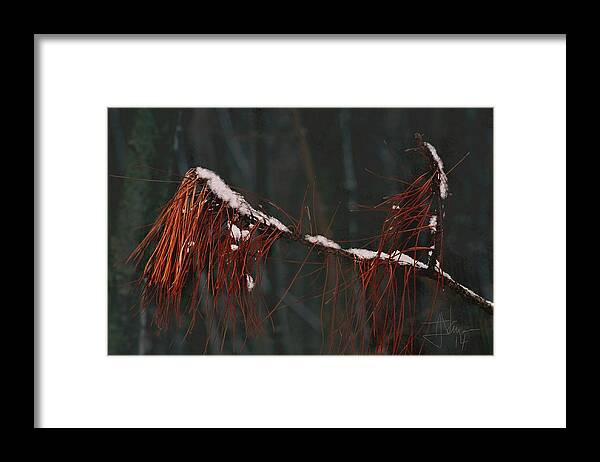  Framed Print featuring the photograph Pine Needles by Jim Vance