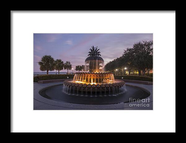 Pineapple Fountain Framed Print featuring the photograph Pineapple Fountain at Night by Dale Powell
