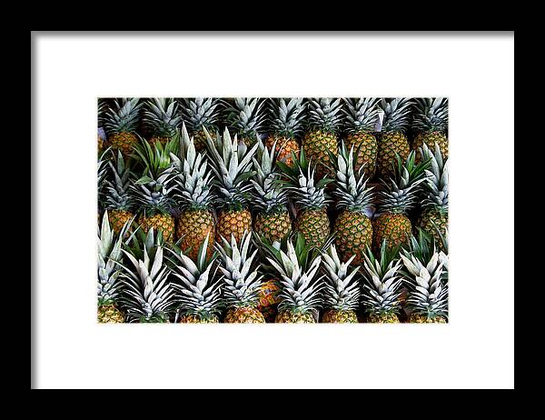 Pineapples Framed Print featuring the photograph Pineapples by Gia Marie Houck