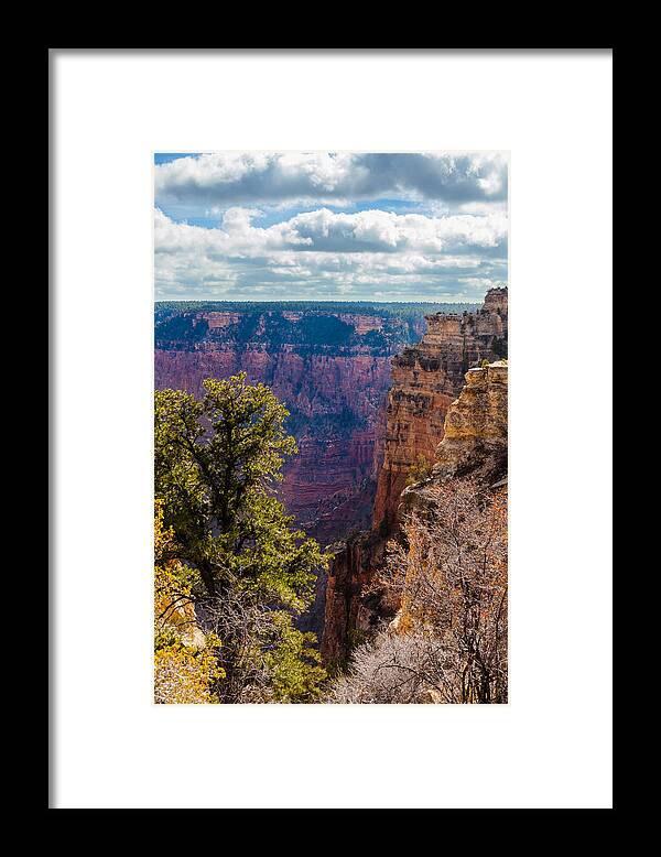 Arizona Framed Print featuring the photograph Pines and Cliffs at the Grand Canyon by Ed Gleichman