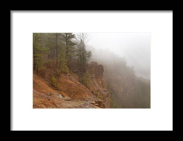 Arkansas Framed Print featuring the photograph Pines in the Mist - Emerald Park - Arkansas by Jason Politte