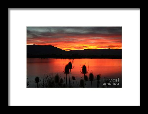 Pineview Framed Print featuring the photograph Pineview Dawn by Bill Singleton