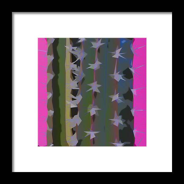 Cactus Framed Print featuring the photograph Pink and Green Cactus Collage by Carol Leigh