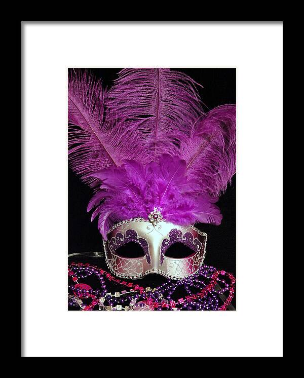 Mask Framed Print featuring the photograph Pink and Silver Mardi Gras Mask by Sheila Kay McIntyre