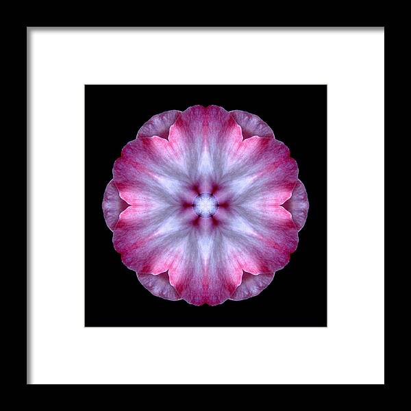 Flower Framed Print featuring the photograph Pink and White Impatiens Flower Mandala by David J Bookbinder