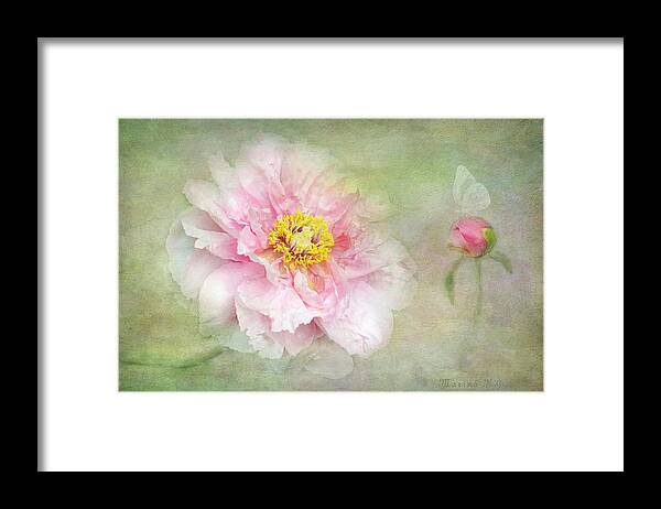 Pink Peony Bloom Framed Print featuring the photograph Pink Charm by Marina Kojukhova