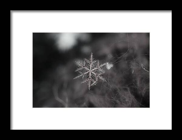 Snowflake Framed Print featuring the photograph Pink Crystal by Jackie Novak