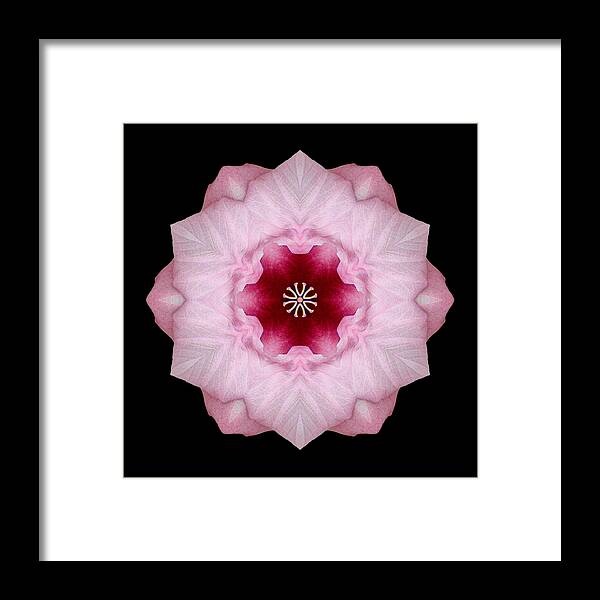 Flower Framed Print featuring the photograph Pink Hibiscus I Flower Mandala by David J Bookbinder