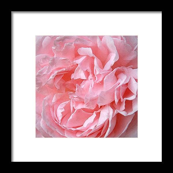 Heritage Framed Print featuring the photograph Pink Lace by CarolLMiller Photography