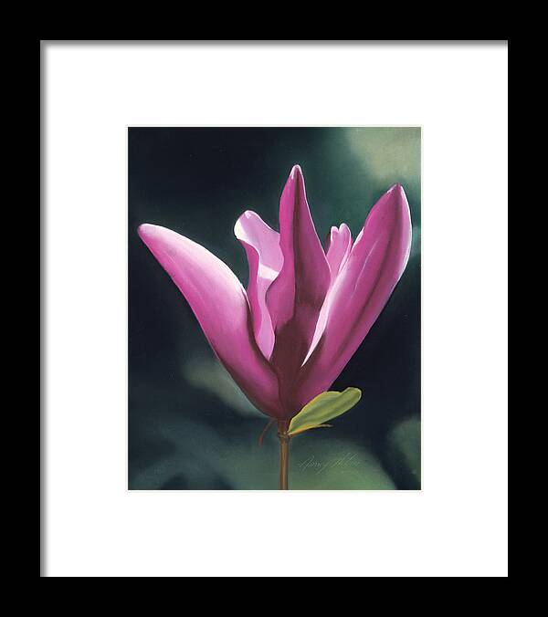 Pink Framed Print featuring the pastel Pink Magnolia by Nancy Helm