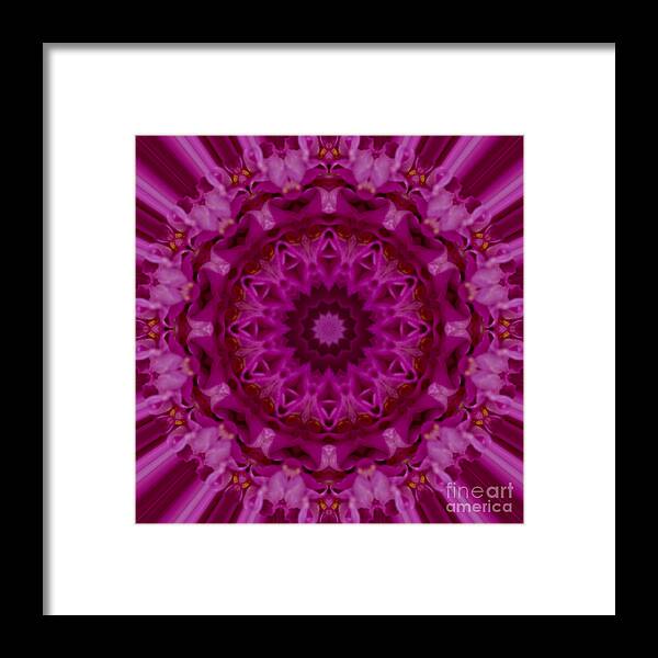 Mandala Framed Print featuring the photograph Pink Mandala Image 1 by Carrie Cranwill