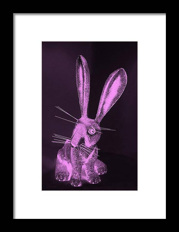 Rabbit Framed Print featuring the photograph Pink New Mexico Rabbit by Rob Hans