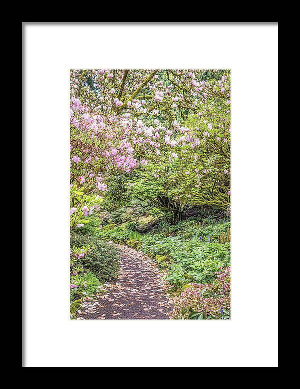 Petal Pathway Framed Print featuring the photograph Pink Petal Pathway by Priya Ghose