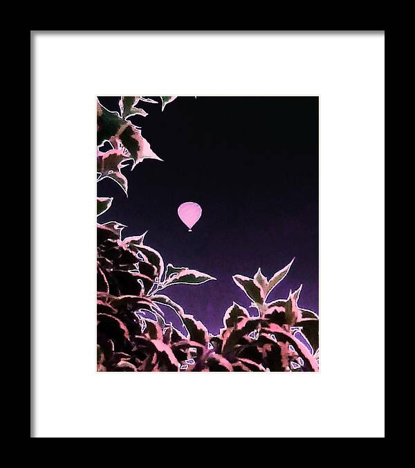 Silhouette Balloon Pink Garden Pretty Health Travel Traveling Hot Air Balloon Sky Background Play Love Happy Framed Print featuring the photograph Pink Plant Balloon by Candy Floss Happy