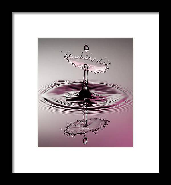 Water Drop Framed Print featuring the photograph Pink Reflections by Vickie Szumigala