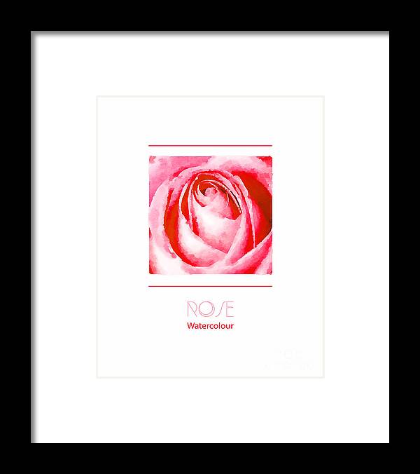 Watercolour Framed Print featuring the photograph Pink rose watercolour by Jane Rix