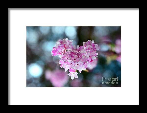 Sabine Jacobs Framed Print featuring the photograph Pink Spring Heart by Sabine Jacobs