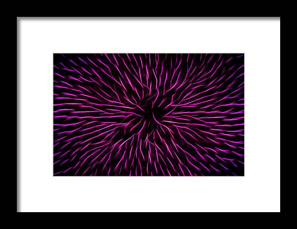 Pink Framed Print featuring the photograph Pink Fire Flower Abstract by Shelley Neff