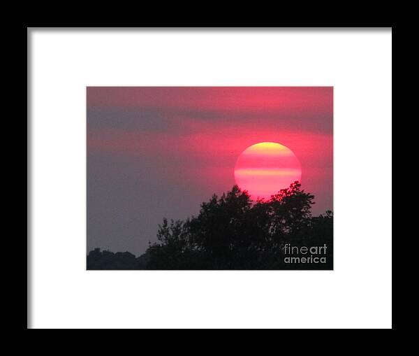 Sun Framed Print featuring the photograph Pink Sunset by Tina M Wenger