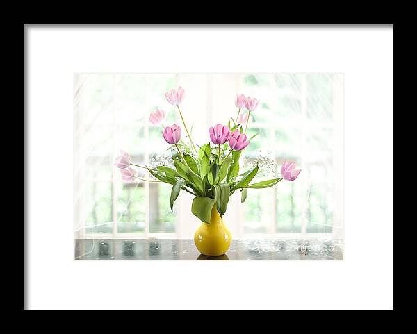 Tulips Framed Print featuring the photograph Pink Tulips In The Window by Lois Bryan