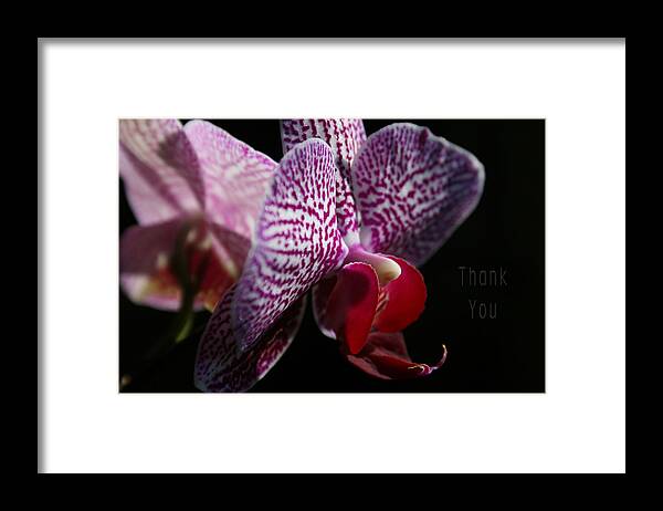 Flowers Framed Print featuring the photograph Pink White Orchids and a reminder to utter the words Thank You. by Raenell Ochampaugh