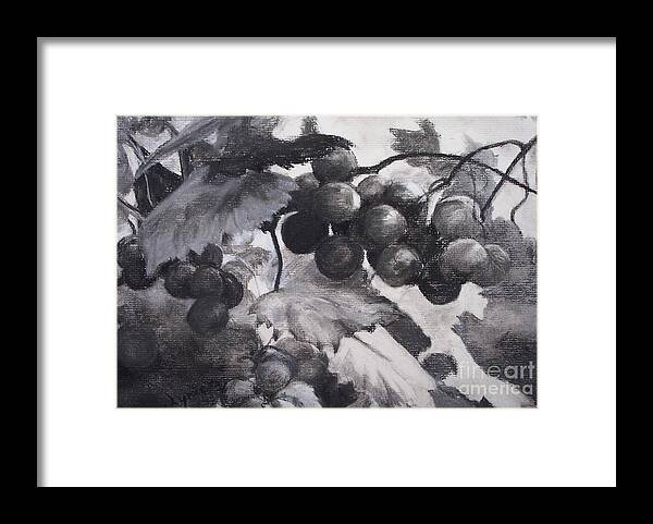 Drawing Of A Grape Arbor Framed Print featuring the drawing Pinot Noir by Mary Lynne Powers