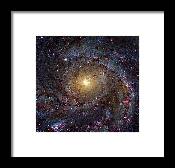 Pinwheel Galaxy Framed Print featuring the photograph Pinwheel Galaxy by Hubble Legacy Archive/robert Gendler/science Photo Library