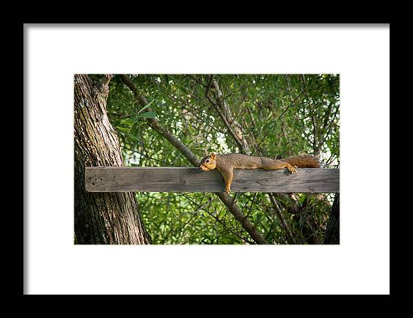 Bill Pevlor Framed Print featuring the photograph Planking by Bill Pevlor