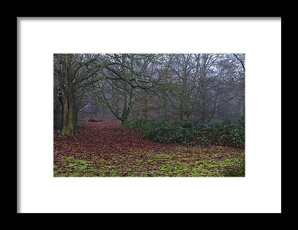 Autumn Framed Print featuring the photograph Plantation Leaves by Maj Seda