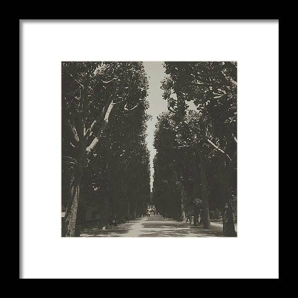 Paris Framed Print featuring the photograph Plantes Des Jardins by Stefanie Adami