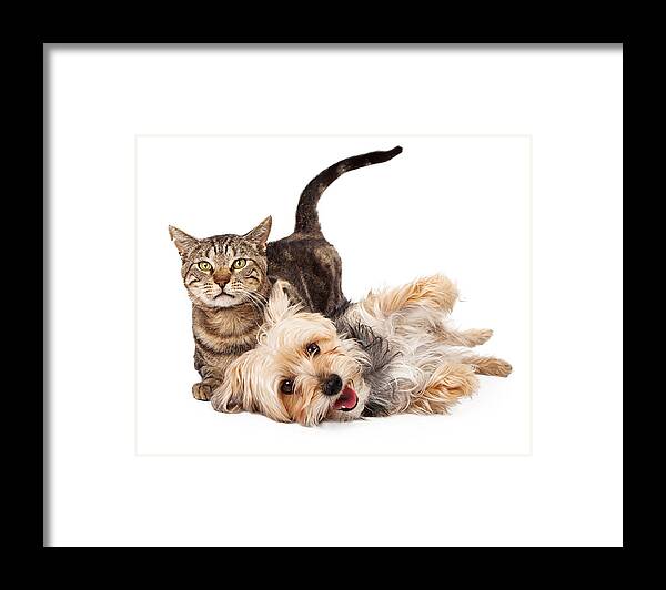 Cat Framed Print featuring the photograph Playful Dog and Cat Laying Together by Good Focused