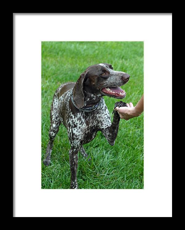 Animals Framed Print featuring the photograph Pleased to meet you by Lisa Phillips