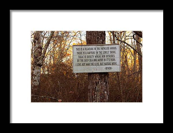 Apacheco Framed Print featuring the photograph Pleasure in The Pathless Woods by Andrew Pacheco