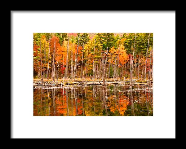 Fall Framed Print featuring the photograph Plethora of Fall Colors by Nancy De Flon