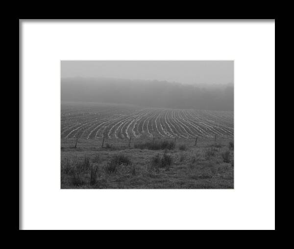 Bill Tomsa Framed Print featuring the photograph Plowed in the Fog by Bill Tomsa