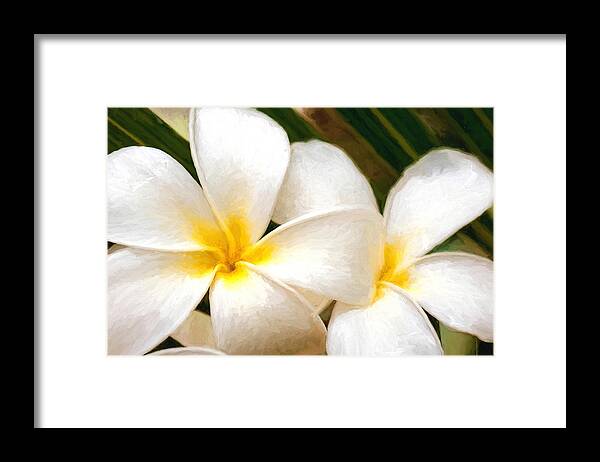 Hawaii Framed Print featuring the photograph Plumeria Impression by Dan McManus